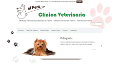 Desktop Screenshot of cvelperu.com